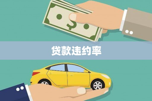 盖州贷款违约率