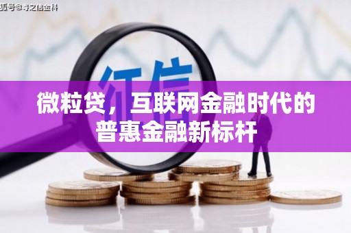 盖州微粒贷，互联网金融时代的普惠金融新标杆