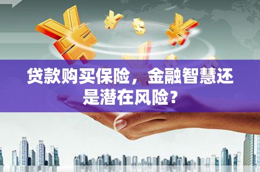盖州贷款购买保险，金融智慧还是潜在风险？