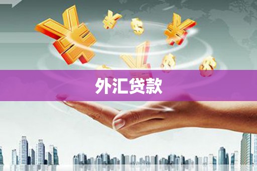 盖州外汇贷款