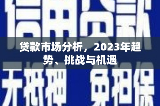 盖州贷款市场分析，2023年趋势、挑战与机遇