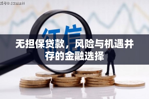 盖州无担保贷款，风险与机遇并存的金融选择