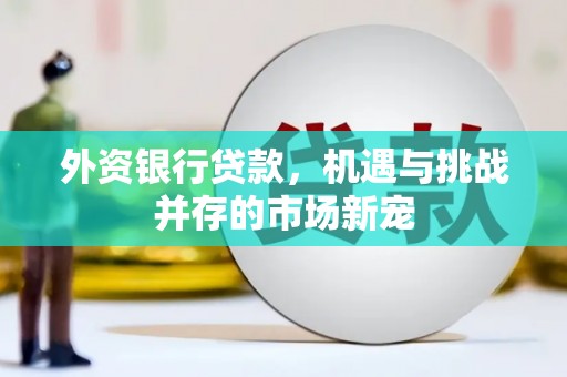 盖州外资银行贷款，机遇与挑战并存的市场新宠