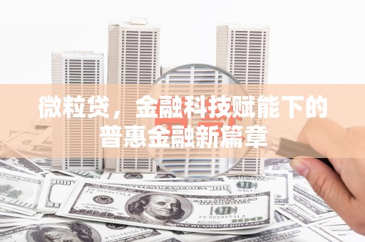 盖州微粒贷，金融科技赋能下的普惠金融新篇章