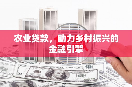 盖州农业贷款，助力乡村振兴的金融引擎