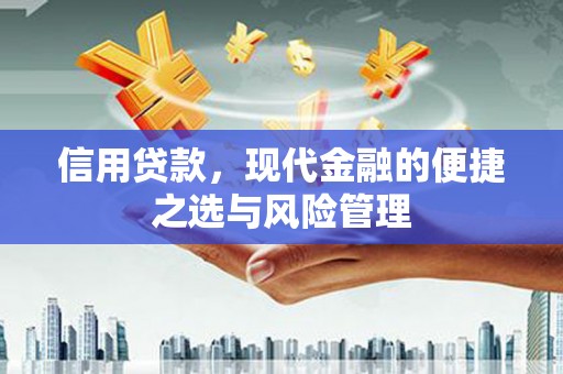 盖州信用贷款，现代金融的便捷之选与风险管理