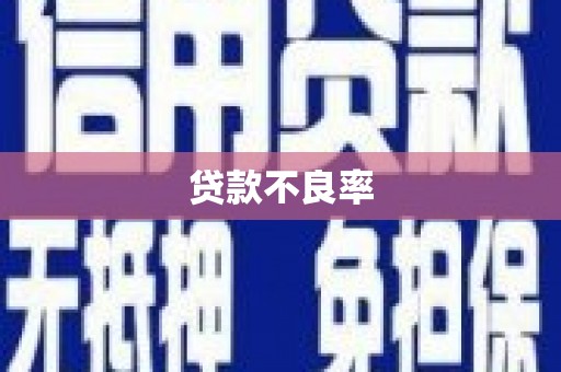 盖州贷款不良率