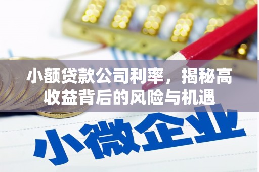 盖州小额贷款公司利率，揭秘高收益背后的风险与机遇