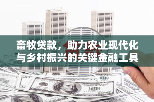 盖州畜牧贷款，助力农业现代化与乡村振兴的关键金融工具