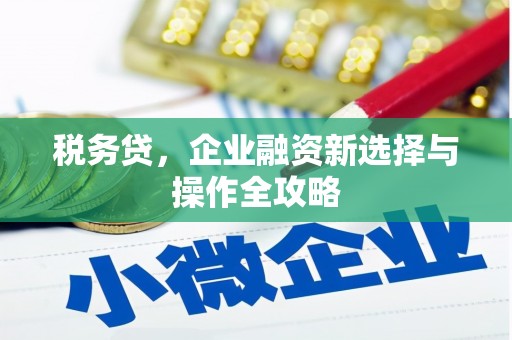 盖州税务贷，企业融资新选择与操作全攻略