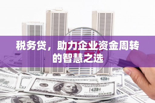 盖州税务贷，助力企业资金周转的智慧之选
