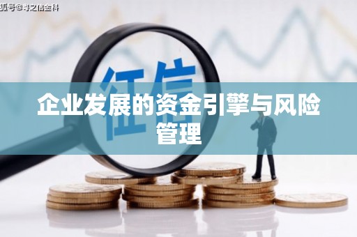 盖州企业发展的资金引擎与风险管理