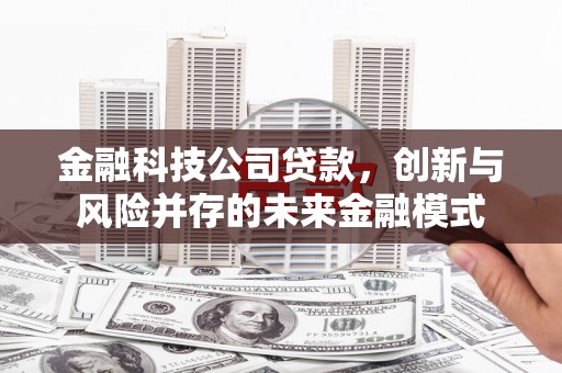 盖州金融科技公司贷款，创新与风险并存的未来金融模式