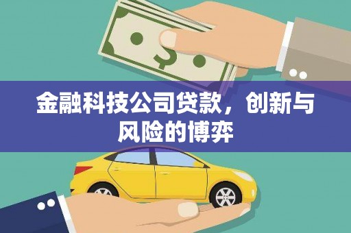 盖州金融科技公司贷款，创新与风险的博弈