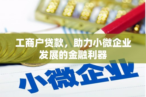 盖州工商户贷款，助力小微企业发展的金融利器