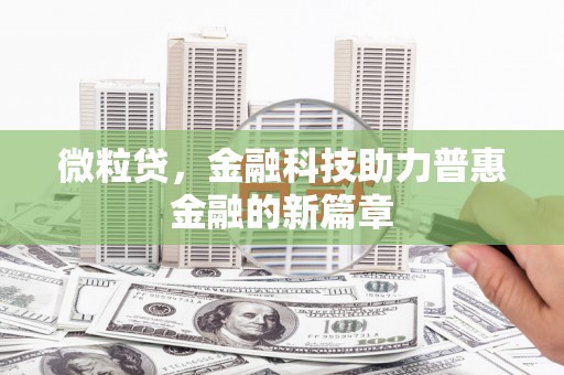 盖州微粒贷，金融科技助力普惠金融的新篇章