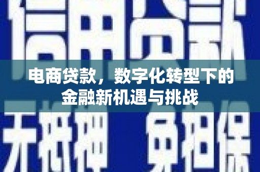 盖州电商贷款，数字化转型下的金融新机遇与挑战