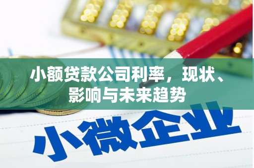 盖州小额贷款公司利率，现状、影响与未来趋势