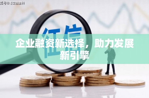 盖州企业融资新选择，助力发展新引擎