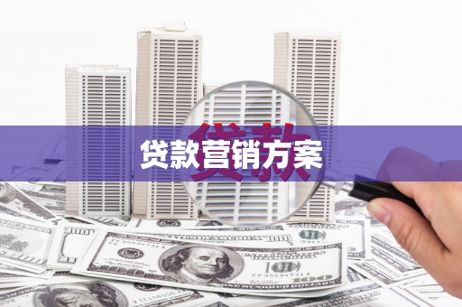 盖州贷款营销方案