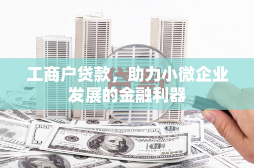 盖州工商户贷款，助力小微企业发展的金融利器