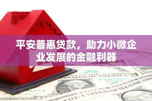 盖州平安普惠贷款，助力小微企业发展的金融利器