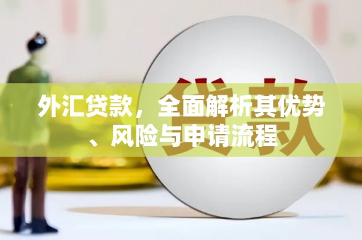 盖州外汇贷款，全面解析其优势、风险与申请流程