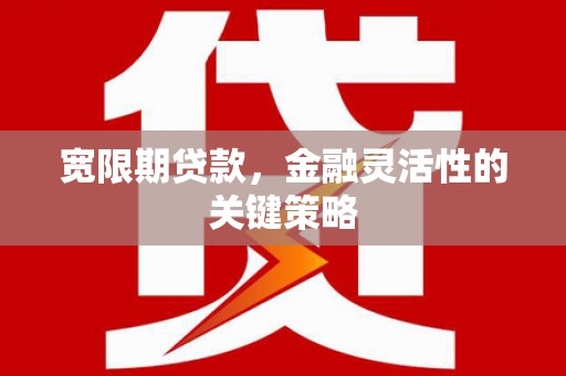 盖州宽限期贷款，金融灵活性的关键策略