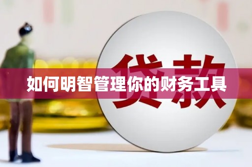 盖州如何明智管理你的财务工具