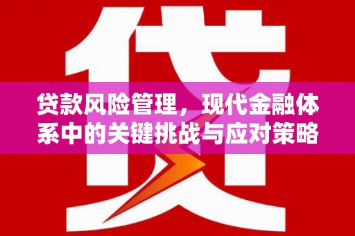 盖州贷款风险管理，现代金融体系中的关键挑战与应对策略
