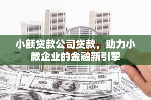 盖州小额贷款公司贷款，助力小微企业的金融新引擎