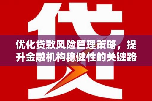 盖州优化贷款风险管理策略，提升金融机构稳健性的关键路径