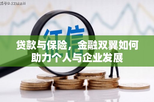 盖州贷款与保险，金融双翼如何助力个人与企业发展