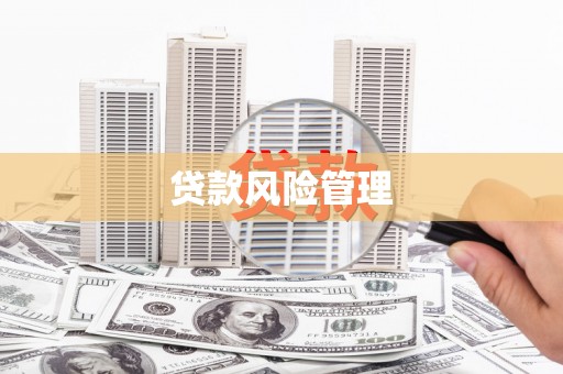 盖州贷款风险管理