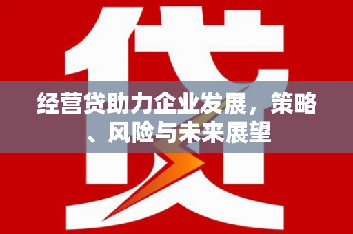 盖州经营贷助力企业发展，策略、风险与未来展望