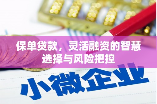 盖州保单贷款，灵活融资的智慧选择与风险把控