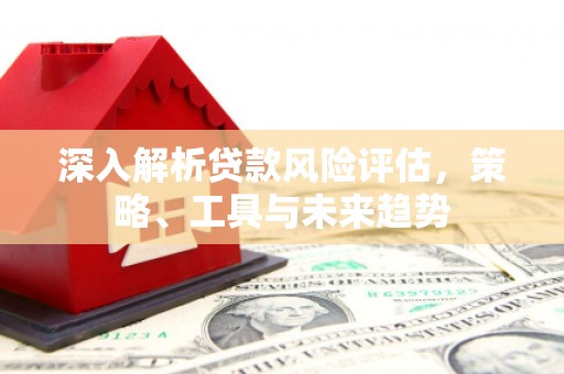 盖州深入解析贷款风险评估，策略、工具与未来趋势