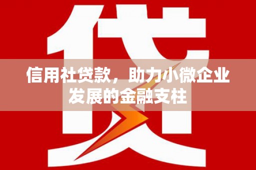 盖州信用社贷款，助力小微企业发展的金融支柱
