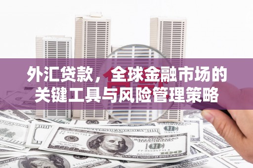 盖州外汇贷款，全球金融市场的关键工具与风险管理策略