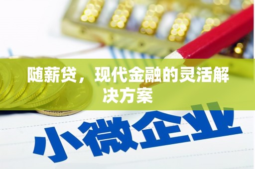 盖州随薪贷，现代金融的灵活解决方案