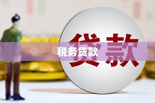 盖州税务贷款