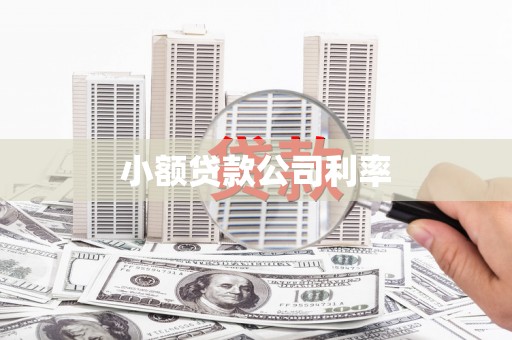 盖州小额贷款公司利率