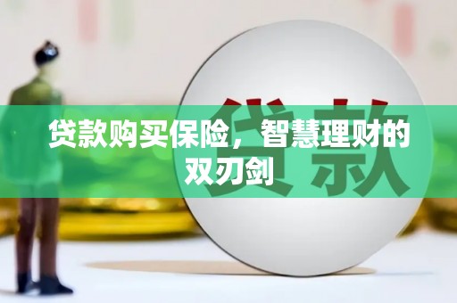 盖州贷款购买保险，智慧理财的双刃剑