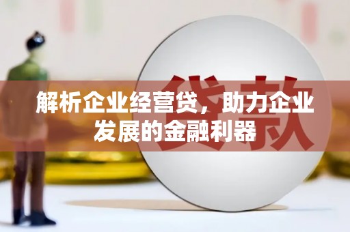 盖州解析企业经营贷，助力企业发展的金融利器
