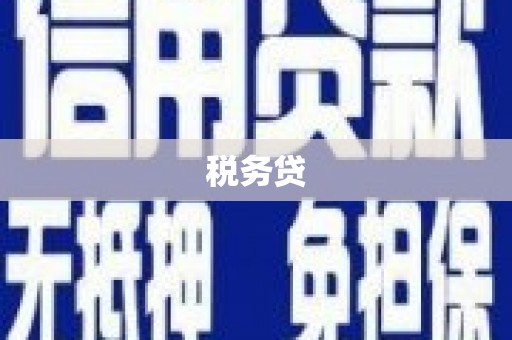 盖州税务贷