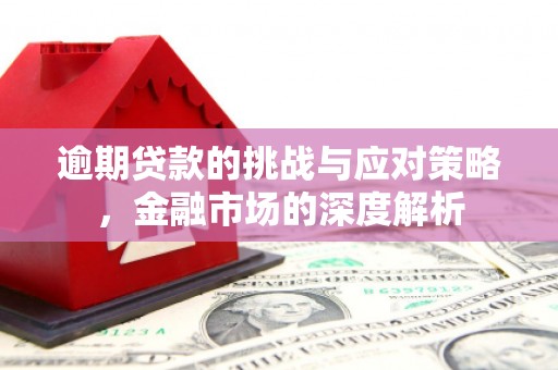盖州逾期贷款的挑战与应对策略，金融市场的深度解析