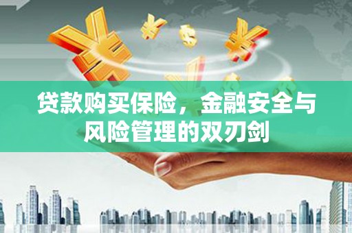 盖州贷款购买保险，金融安全与风险管理的双刃剑
