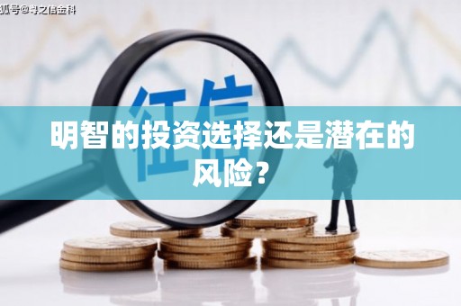 盖州明智的投资选择还是潜在的风险？