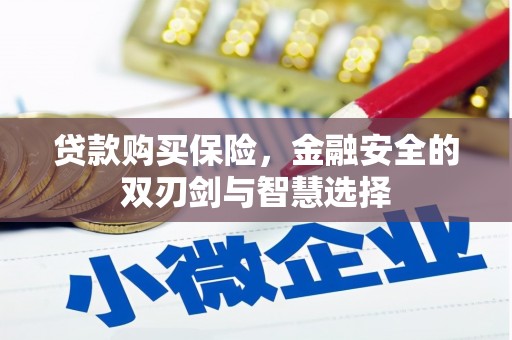 盖州贷款购买保险，金融安全的双刃剑与智慧选择