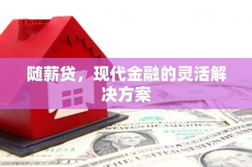 盖州随薪贷，现代金融的灵活解决方案